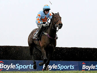 'Horse Of A Lifetime' Un De Sc...